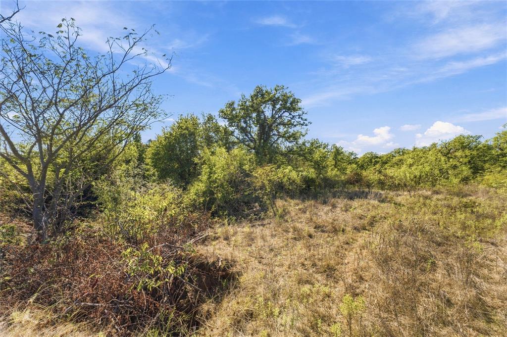 Tract 8 County Road 3671 - Photo 16