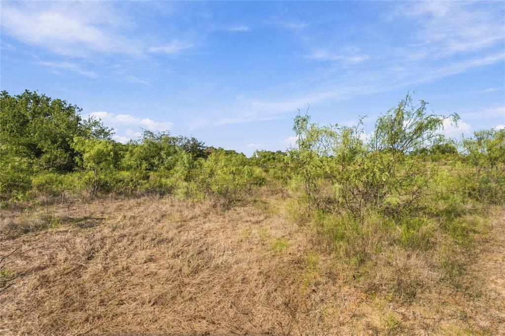 Tract 8 County Road 3671 - Photo 2