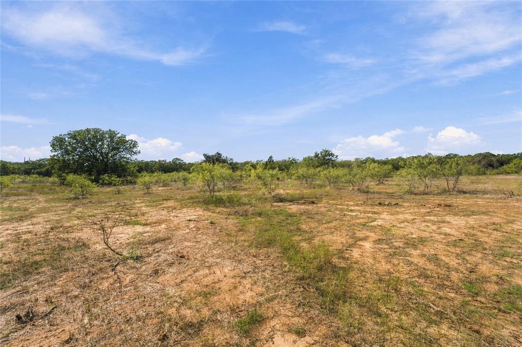 Tract 8 County Road 3671 - Photo 4