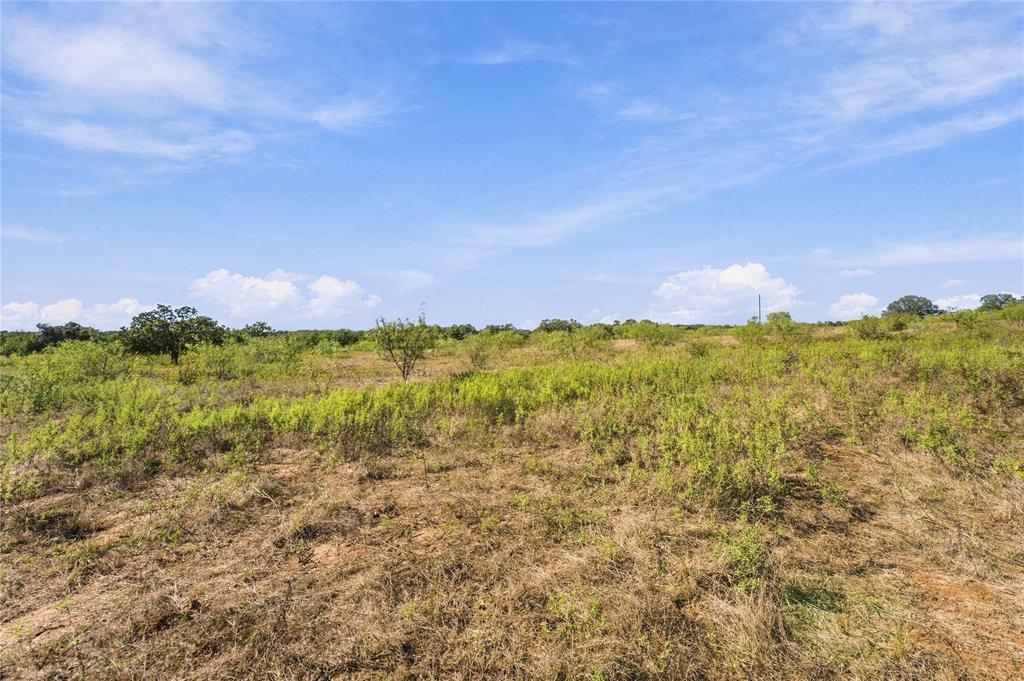 Tract 8 County Road 3671 - Photo 6