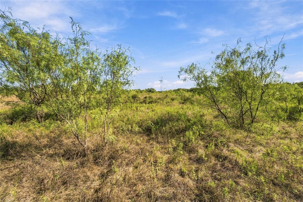 Tract 8 County Road 3671 - Photo 7