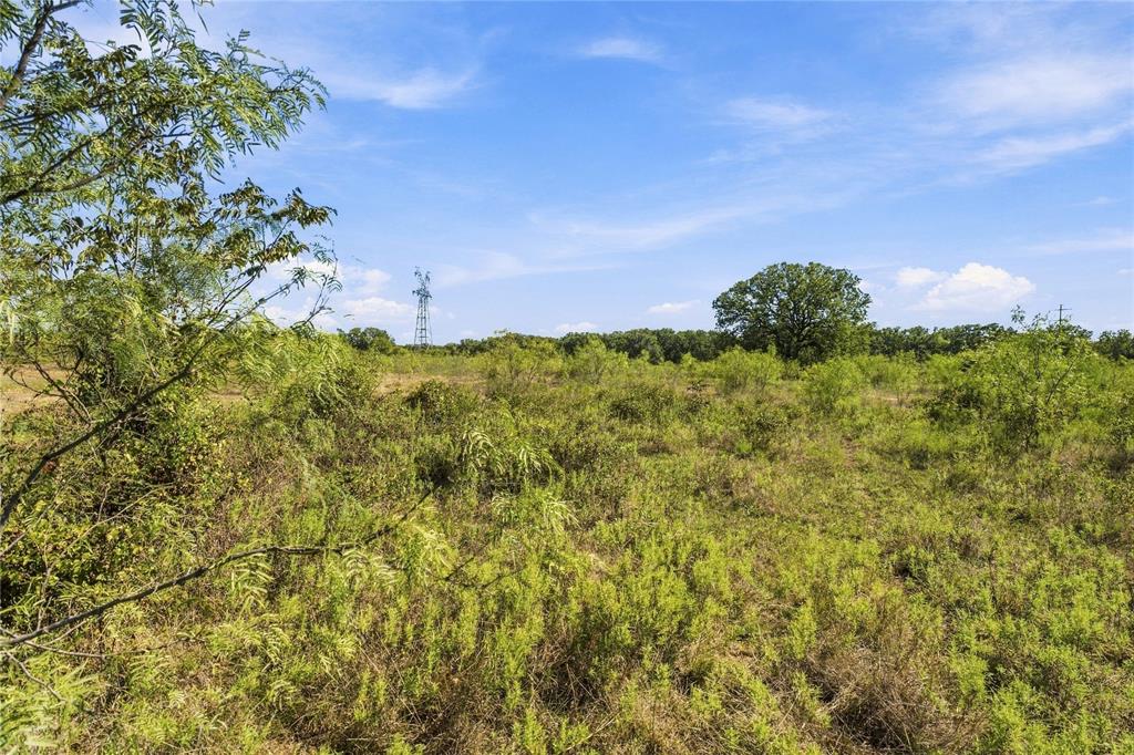 Tract 8 County Road 3671 - Photo 9