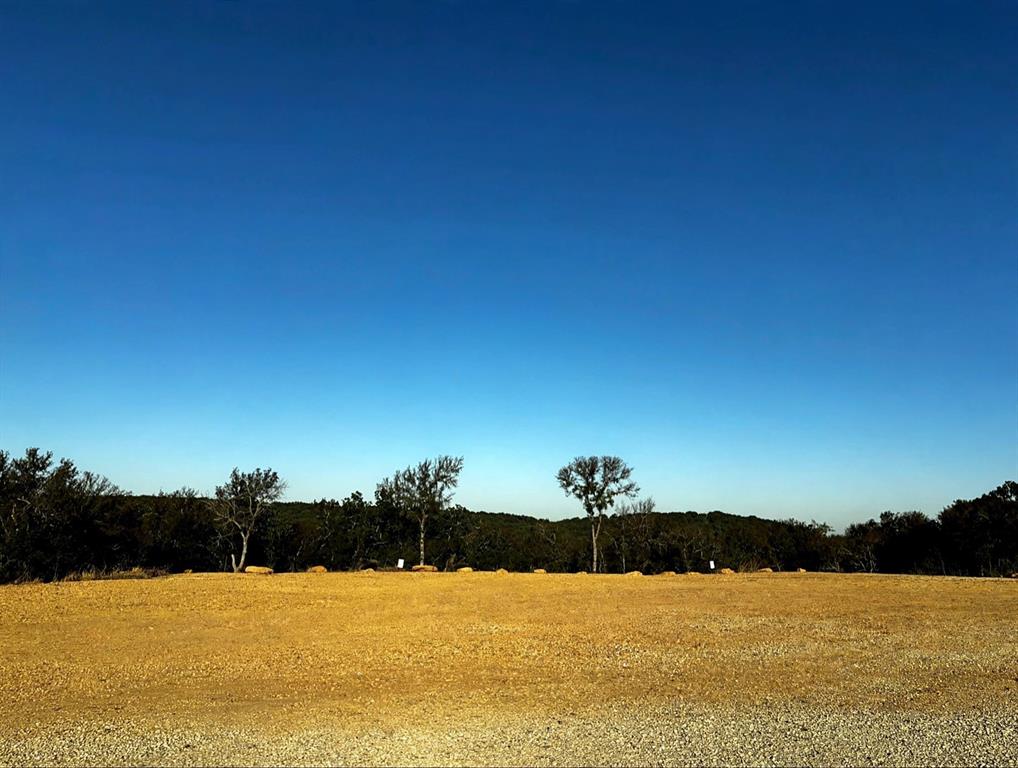 1212 Packing House Road - Photo 4