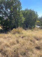 1030 Raven Circle - Photo 18