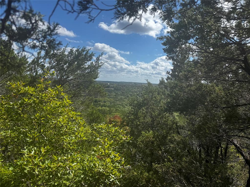 TBD Bluff View Drive - Photo 1