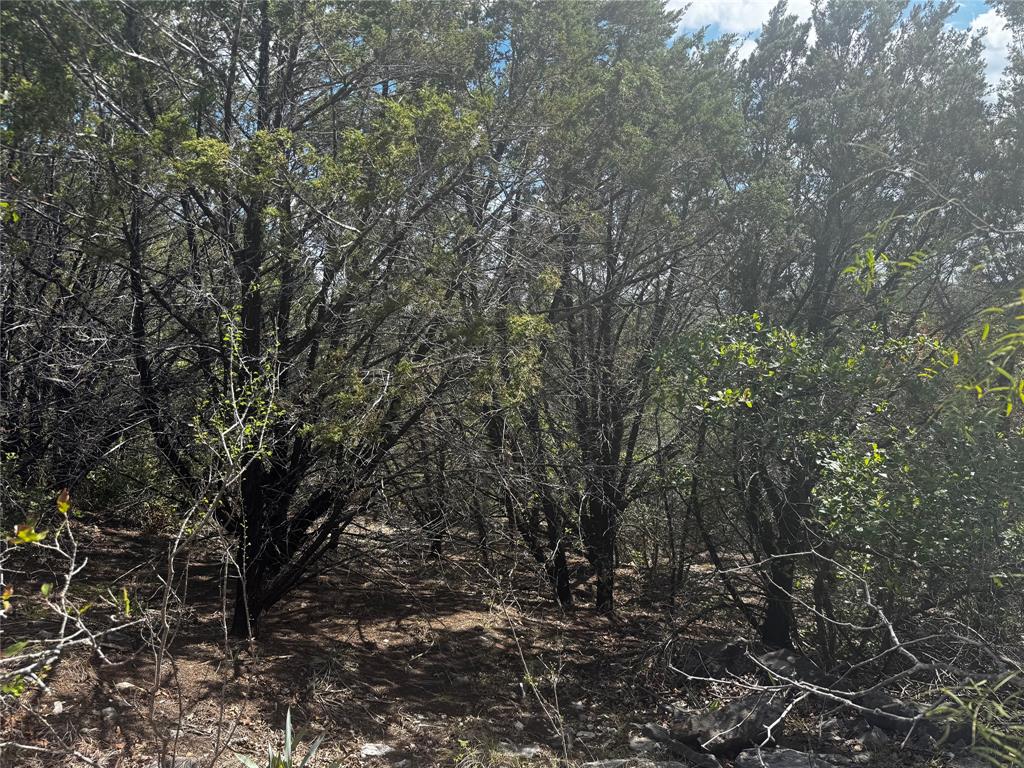 TBD Bluff View Drive - Photo 3