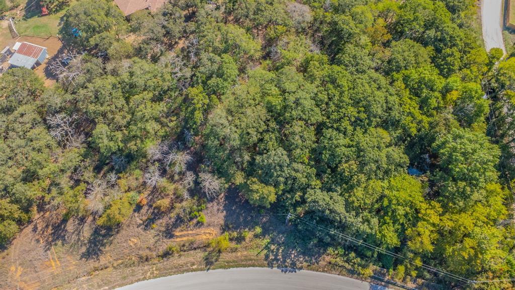 Lot 14 Robinson Canyon Road - Photo 10