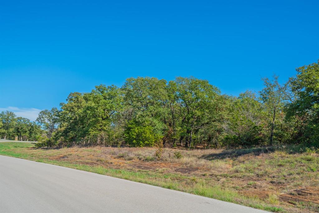 Lot 14 Robinson Canyon Road - Photo 11