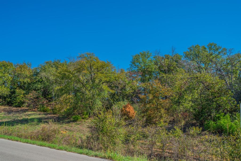 Lot 14 Robinson Canyon Road - Photo 4