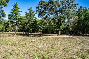 000 FM 1510 - Photo 27
