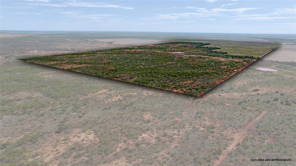 TBD 366 ACRES Montgomery Rd - Photo 1