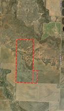TBD 366 ACRES Montgomery Rd - Photo 2