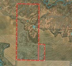 TBD 366 ACRES Montgomery Rd - Photo 3