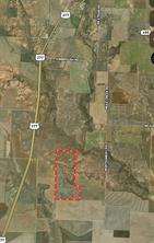 TBD 366 ACRES Montgomery Rd - Photo 4