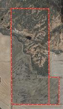 TBD 366 ACRES Montgomery Rd - Photo 6