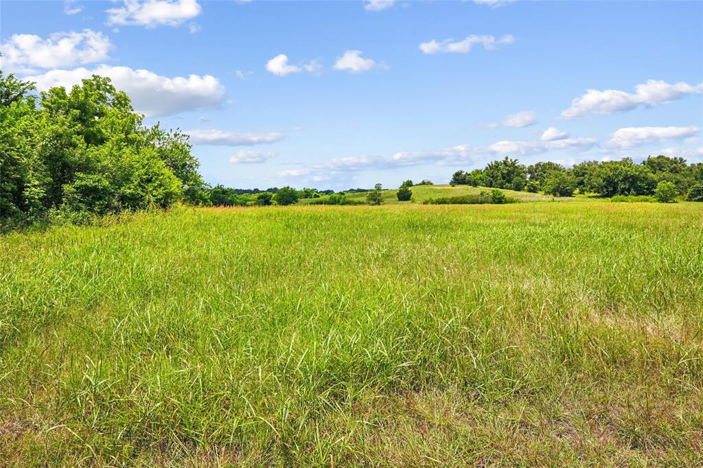 TBD School House Road - Photo 16