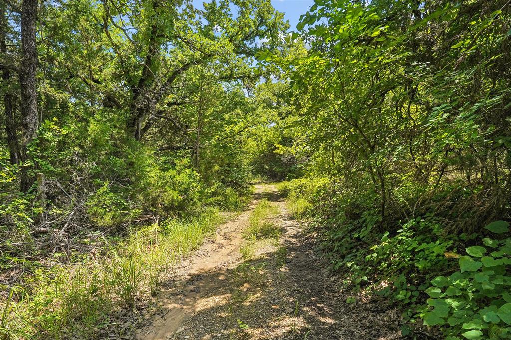 TBD School House Road - Photo 25
