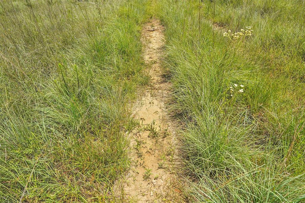 TBD School House Road - Photo 31