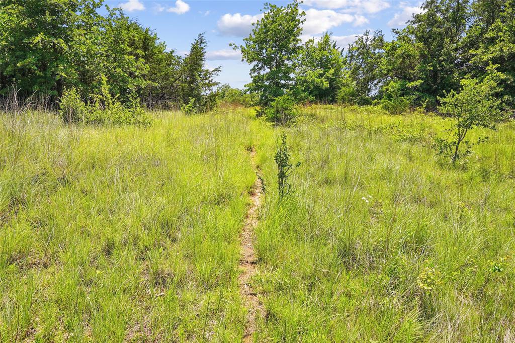 TBD School House Road - Photo 32