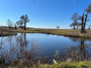TBD W State Highway 11 - Photo 4