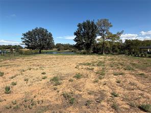 1102 Live Oak Lane - Photo 5