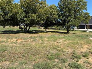 1102 Live Oak Lane - Photo 9