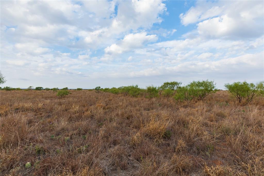 TBD FM 2834 - Photo 10