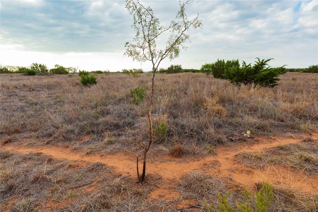 TBD FM 2834 - Photo 18