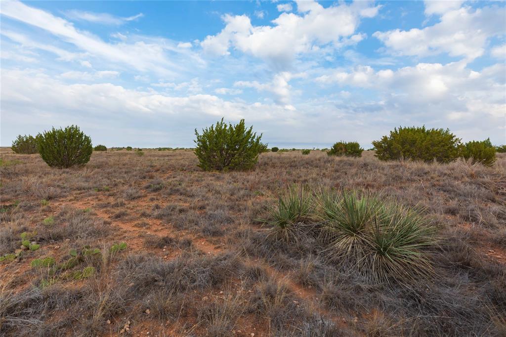 TBD FM 2834 - Photo 20