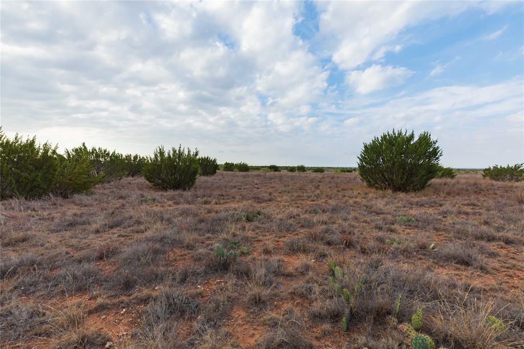TBD FM 2834 - Photo 22
