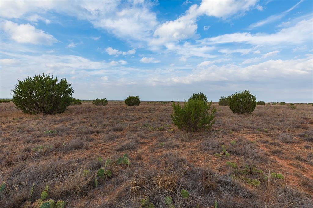 TBD FM 2834 - Photo 23