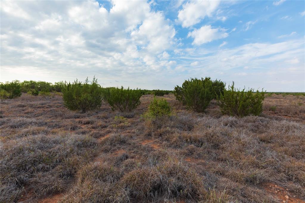 TBD FM 2834 - Photo 24