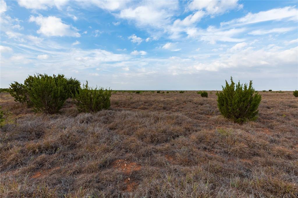 TBD FM 2834 - Photo 25