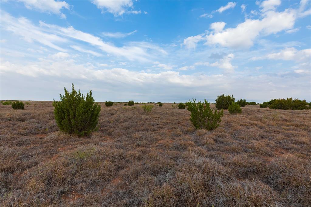 TBD FM 2834 - Photo 26