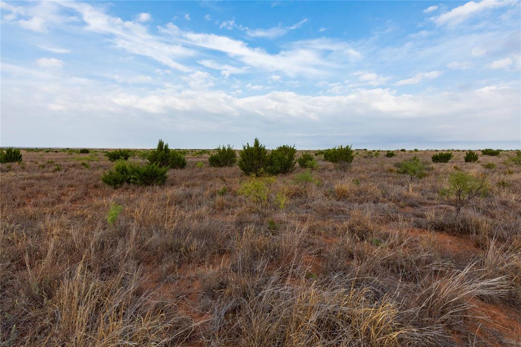 TBD FM 2834 - Photo 29