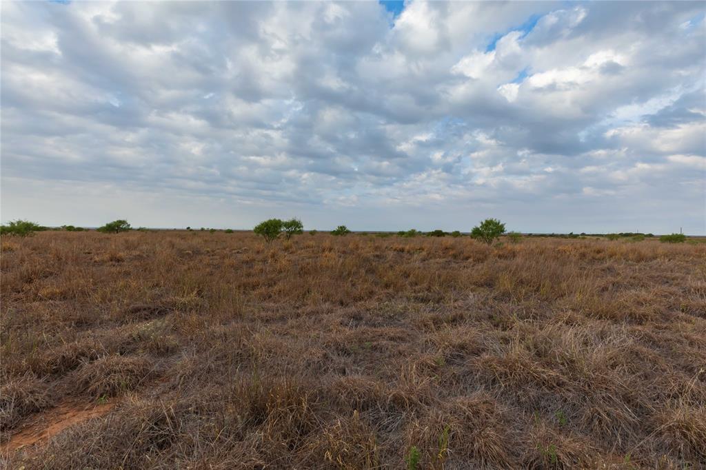 TBD FM 2834 - Photo 3