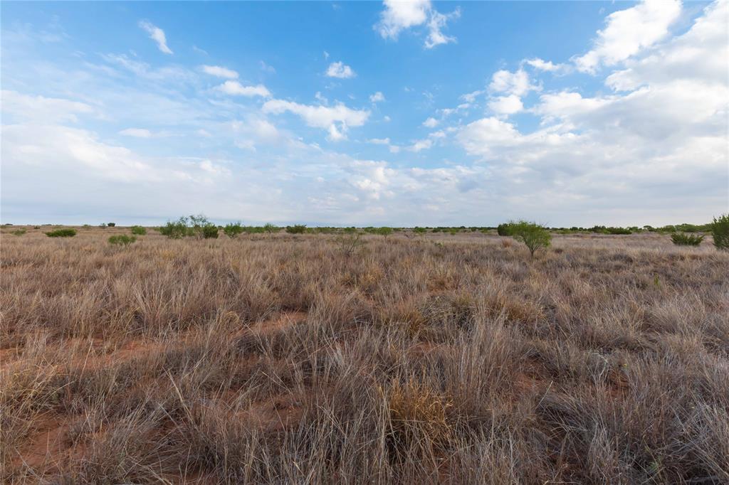 TBD FM 2834 - Photo 32
