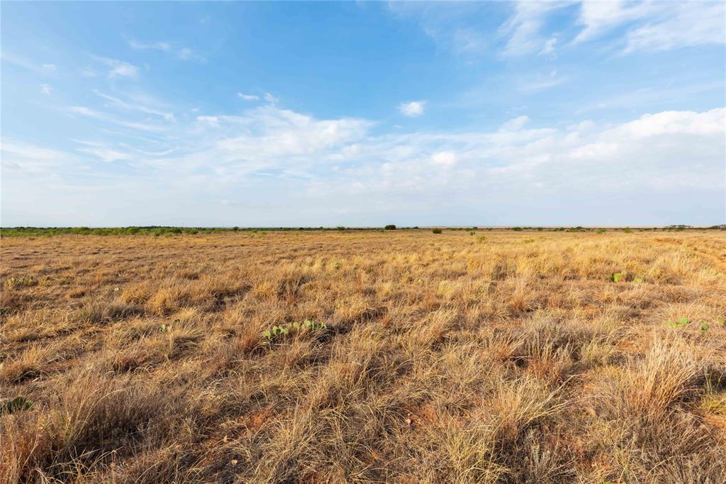 TBD FM 2834 - Photo 35
