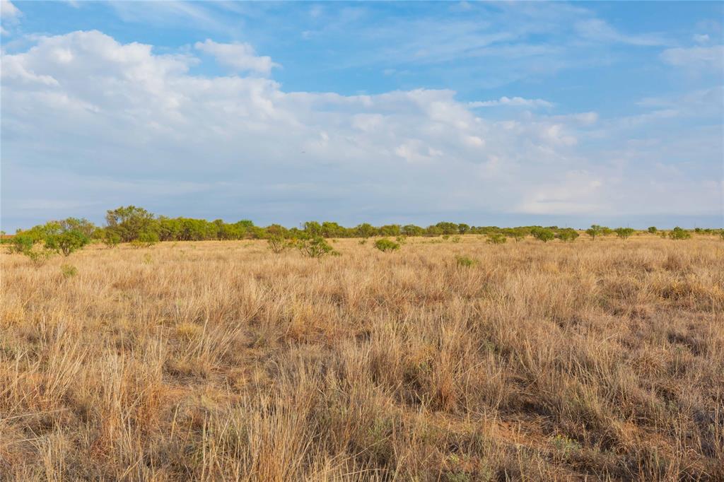 TBD FM 2834 - Photo 37