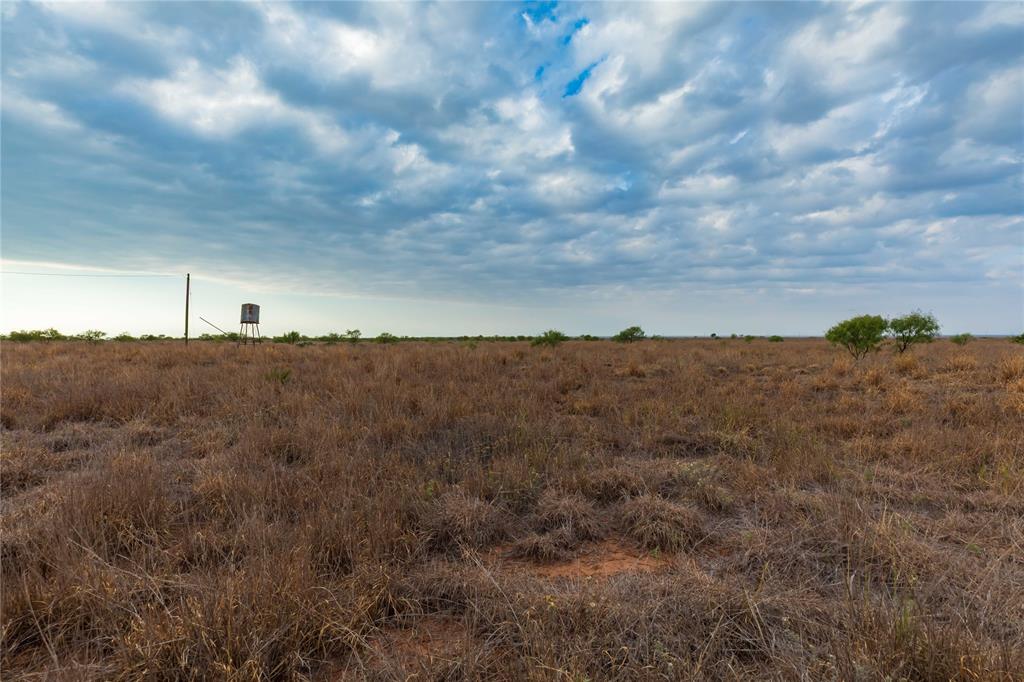 TBD FM 2834 - Photo 4
