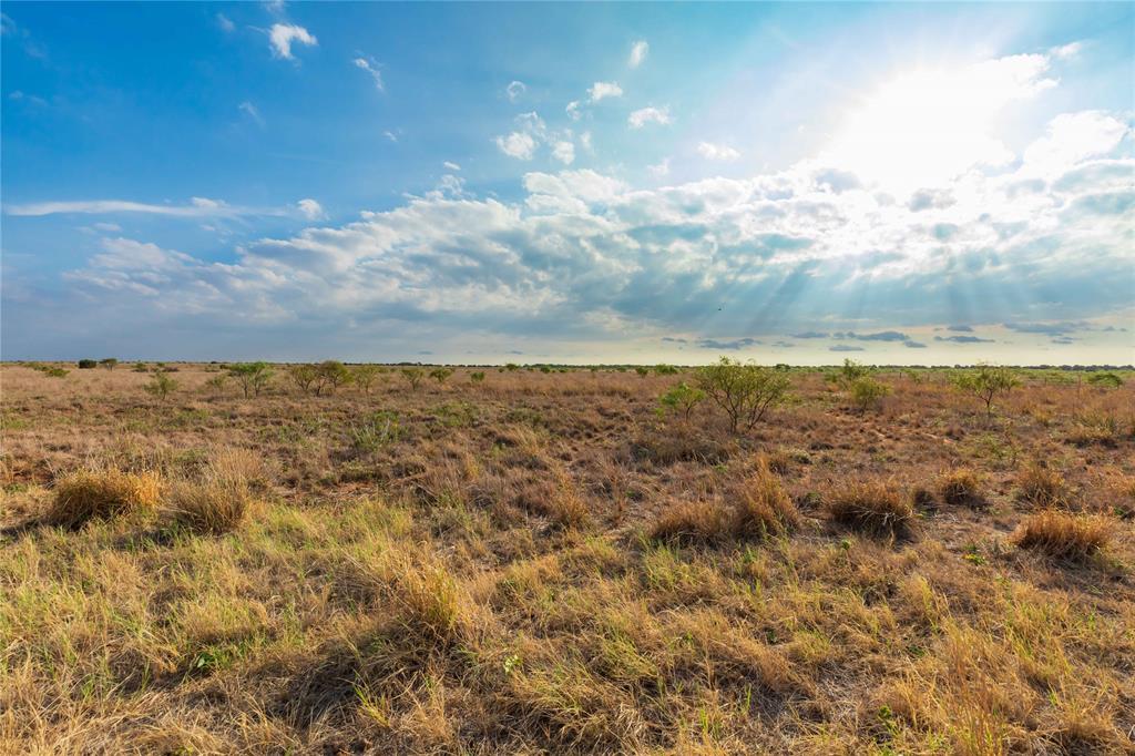 TBD FM 2834 - Photo 40