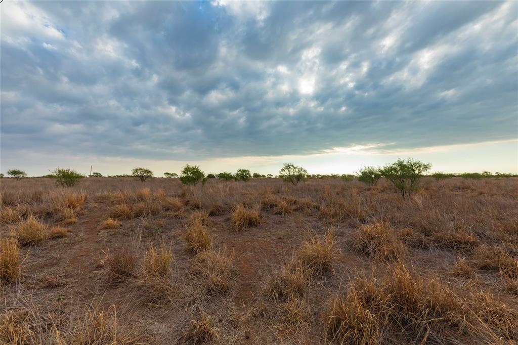 TBD FM 2834 - Photo 7