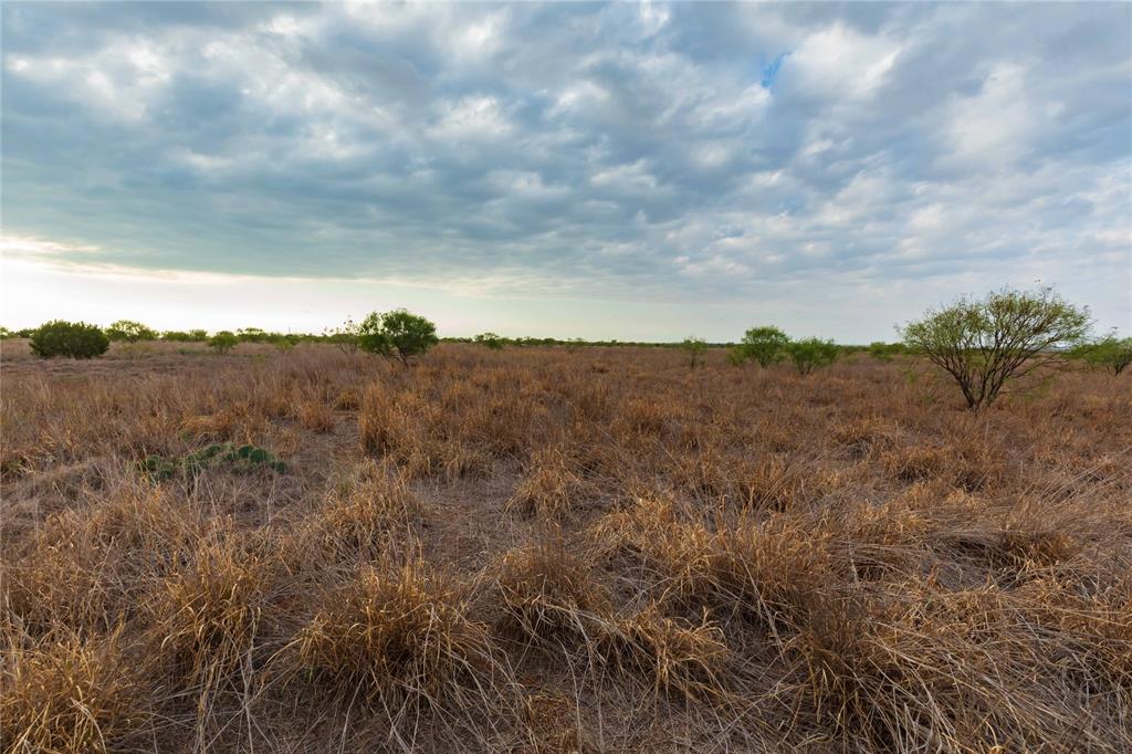 TBD FM 2834 - Photo 9