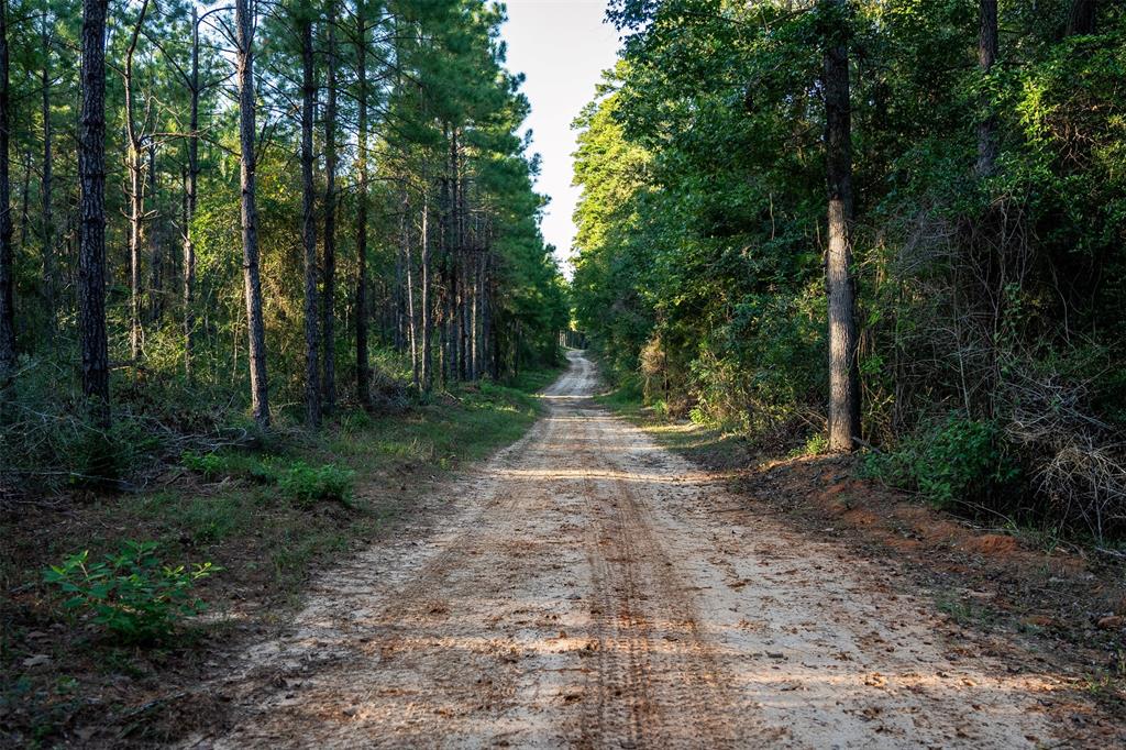1309 County Road 2619 - Photo 29