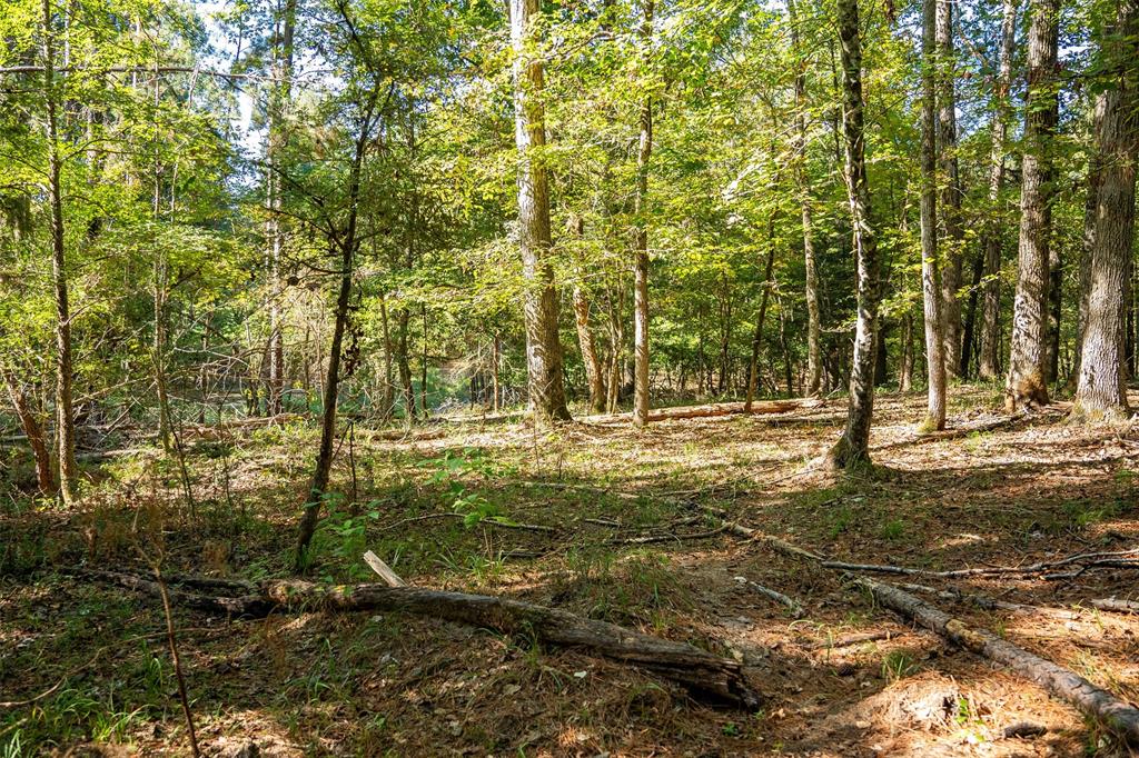 1309 County Road 2619 - Photo 30