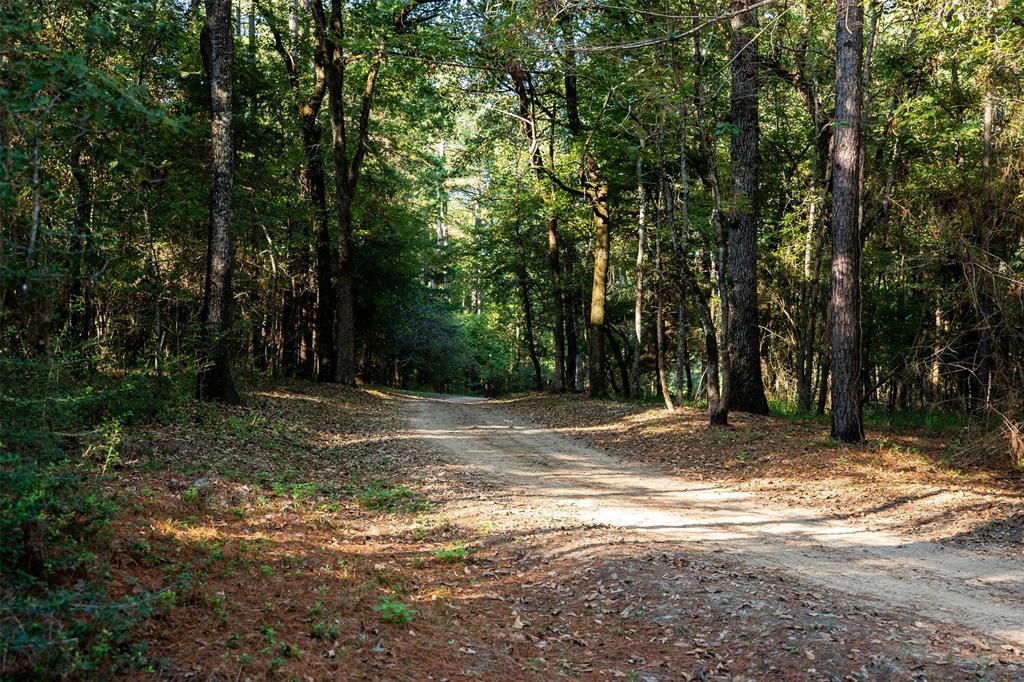 1309 County Road 2619 - Photo 31