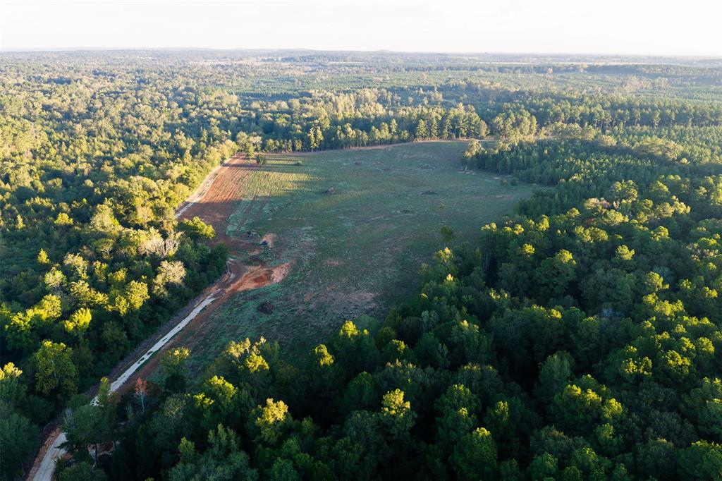 1309 County Road 2619 - Photo 34