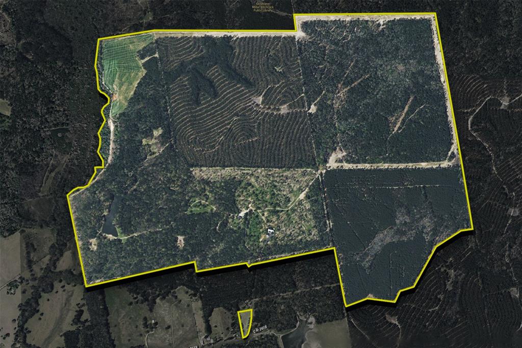 1309 County Road 2619 - Photo 39