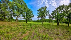 TBD Tradewinds Road - Photo 2