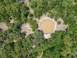 51.03 Acres Highway 16 - Photo 11